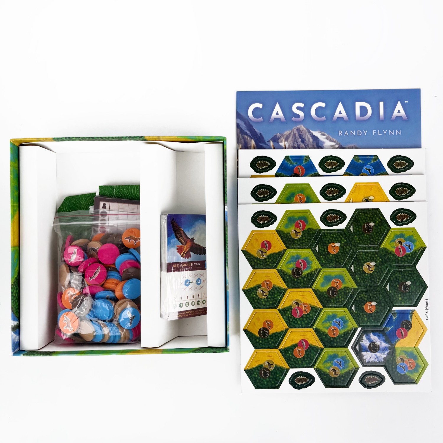 1-4 Players Cascadia Boardgame - đánh giá và giá Board Game Fun